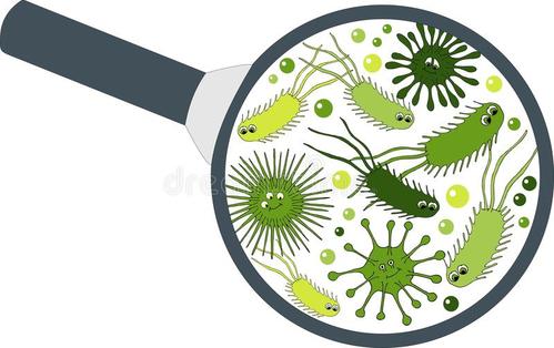 细菌2.jpg